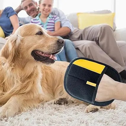 Dual - Sided Grooming Glove for Dogs & Cats – Remove Hair, Dirt & Stress! Loved by 20,000+ Pet Parents - GDNA