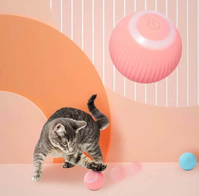Electric Rolling Cat Ball – Endless Fun & Mental Stimulation for Your Feline! - GDNA