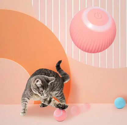 Electric Rolling Cat Ball – Endless Fun & Mental Stimulation for Your Feline! - GDNA