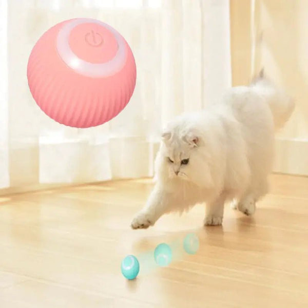 Electric Rolling Cat Ball – Endless Fun & Mental Stimulation for Your Feline! - GDNA