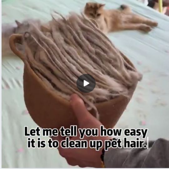 Dual-sided pet hair remover glove in use while grooming a golden retriever during shedding season.